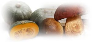 Weekend di sabato 3 e domenica 4 dicembre - Funghi zucca ceci e castagne @ Agriturismo Le Tradizioni di Elide | Lombardia | Italia